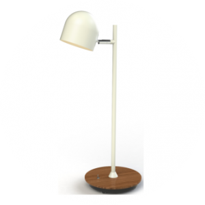 Peters Leuchten SCHUBI 50