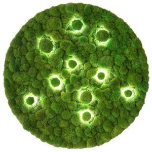 Peters Leuchten MOOSALISA